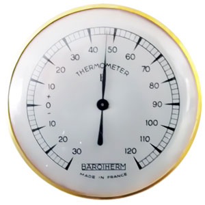 temperature_mortelle_punaises_de_lit