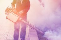 Fumigène anti punaise de lit : quelle efficacité ?