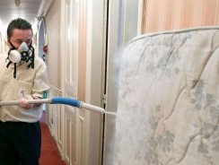 Stéphane Bras tire la sonnette d’alarme concernant les punaises de lit