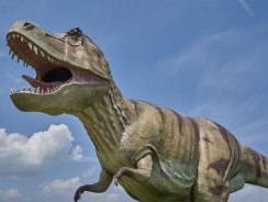 Les punaises de lit étaient là avant les dinosaures