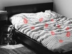 Punaises de lit : l’importance de faire appel à un professionnel