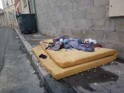 La cité d’Air Bel de Marseille est envahie par les punaises de lit