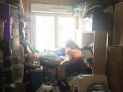 Corbeil-Essonnes : une famille confinée avec les punaises de lit dans une tour des Tarterêts
